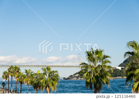 【関門橋とヤシの木　唐戸市場から】 125116460