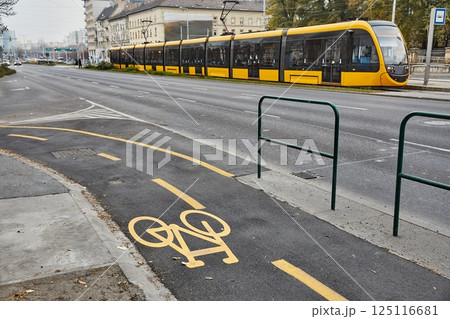 Bicycle lane signs in a city Bicycle lane signs in a city 125116681