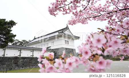 日本 ジャパン 日本国 125116826