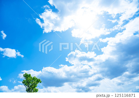 青空と雲と木立 125116871