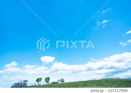 青空と草原 125117006