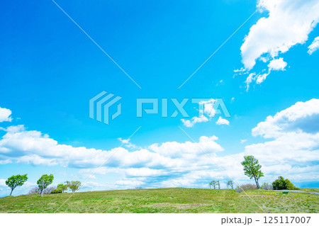 青空と草原 青空と草原 125117007