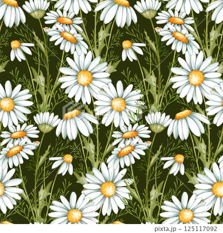 Summer floral background with white daisy flowers, leaves and grass. Floral seamless pattern. 125117092