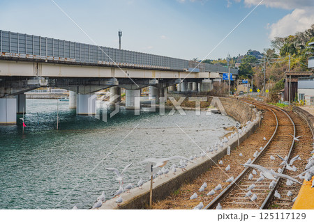浜松市にある天竜浜名湖鉄道の浜名湖佐久米駅で飛び交うカモメたちの風景(静岡県) 125117129