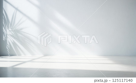 background with blurred foliage palm shadow on white wall. Beautiful background 125117140