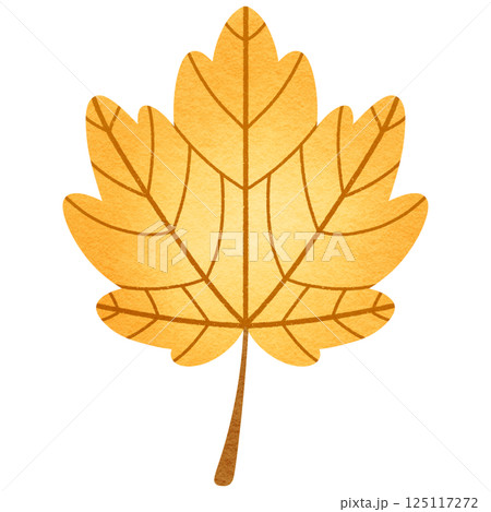 Maple Leaf 125117272