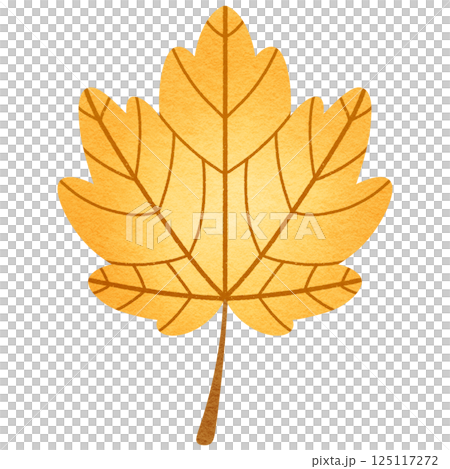 Maple Leaf 125117272
