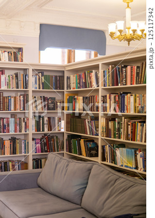 Bookshelf with books and sofa in a library, interior design Bookshelf with books and sofa in a library, interior design 125117342