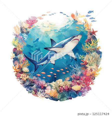 Shark swimming among vibrant coral reefs in clear ocean waters 125117424