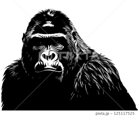 Vector isolated illustration of gorilla portrait silhouette. Black and white drawing of gorilla. 125117525