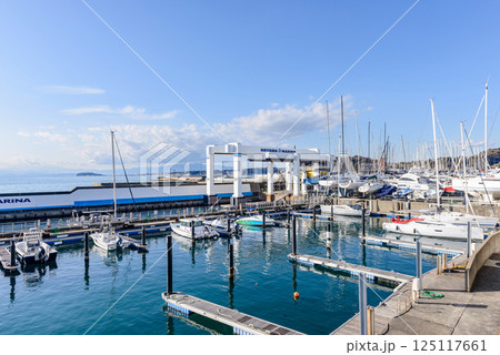 マリーナに停泊する船、ヨットハーバー、葉山マリーナ 125117661