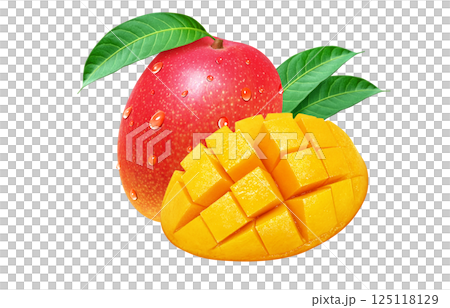 Mango illustration, realistic, fruit 125118129