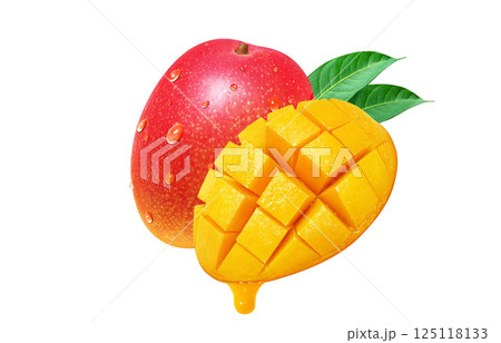 マンゴーのイラスト リアル 果物 125118133