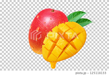 マンゴーのイラスト リアル 果物 125118133