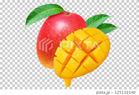 Mango illustration, realistic, fruit 125118140