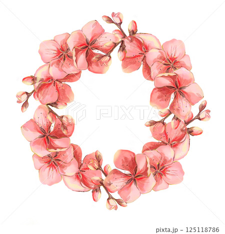 Sakura flowers red pink watercolor frame on white background in high quality. Perfect for postcards, invitations, weddings. Spring flowers will perfectly decorate home decor. 125118786