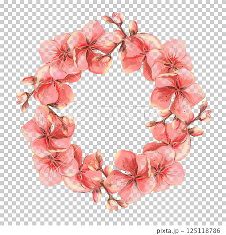 Sakura flowers red pink watercolor frame on white background in high quality. Perfect for postcards, invitations, weddings. Spring flowers will perfectly decorate home decor. 125118786