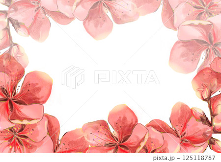 Sakura flowers red pink watercolor frame on white background in high quality. Perfect for postcards, invitations, weddings. Spring flowers will perfectly decorate home decor. 125118787