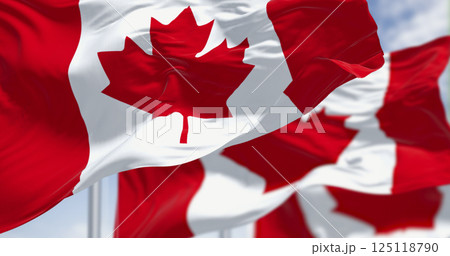 Canadian flag waving outdoors with maple leaf symbol. 3D render Canadian flag waving outdoors with maple leaf symbol. 3D render 125118790