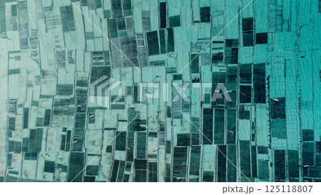 Top down view of algae seaweed farm at Lembongan island in Indonesia 125118807
