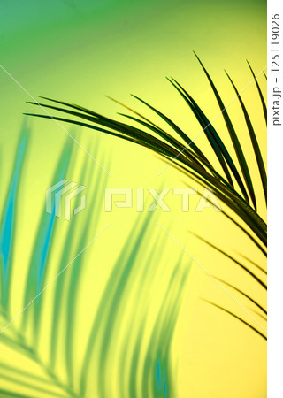 Tropical leaves in neon light with duotone shadows 125119026