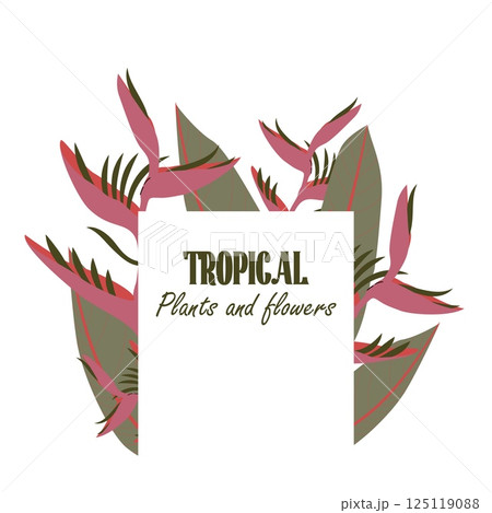 Square tropical template with Heliconia flower framing a white rectangular shape in the center. Frame background for product placement, quotes, social media or seasonal sales. Vector illustration Square tropical template with Heliconia flower framing a white rectangular shape in the center. Frame background for product placement, quotes, social media or seasonal sales. Vector illustration 125119088