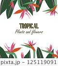 Tropical square layout with floral elements placed along the bottom and top borders. Botanical frame template for promotions, social media announcements or summer-themed invites. Vector illustration 125119091