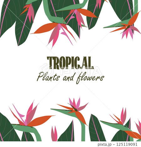 Tropical square layout with floral elements placed along the bottom and top borders. Botanical frame template for promotions, social media announcements or summer-themed invites. Vector illustration 125119091