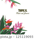 Tropical square template with exotic Strelitzia flowers and leaves placed diagonally in two corners. Stylish floral layout for seasonal sales, promo banners or branding content. Vector illustration 125119093