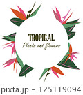Tropical square layout with exotic Strelitzia flowers and leaves forming a circular floral frame. Template background for social media, product promos, parties or branding content. Vector illustration 125119094