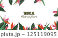 Tropical template with Strelitzia and jungle leaves composition around the perimeter. Botanical frame concept for web banners, event invites, seasonal campaigns. Modern vector illustration 125119095
