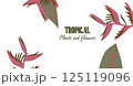 Tropical template with Heliconia and jungle leaves around the corners and and space for text. Botanical frame concept for web banners, event invites, seasonal campaigns and promo. Vector illustration 125119096