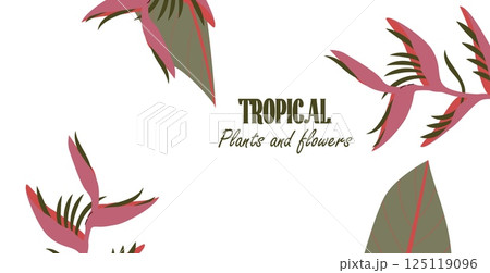 Tropical template with Heliconia and jungle leaves around the corners and and space for text. Botanical frame concept for web banners, event invites, seasonal campaigns and promo. Vector illustration 125119096