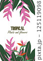Floral tropical border frame with exotic Heliconia and Strelitzia. Vertical layout with space for message for banner designs, seasonal promo, social media stories or web ad. Trendy vector illustration 125119098