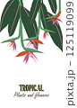 Leafy frame with exotic Strelitzia on top and banana foliage. Vertical layout with space for message for banner designs, seasonal promo, social media stories or web ads. Trendy vector illustration 125119099