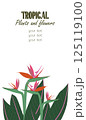 Tropical poster with exotic Bird of Paradise and leaves. Vertical layout with space for message for banner designs, event invitations, social media, or promo. Vector illustrations 125119100