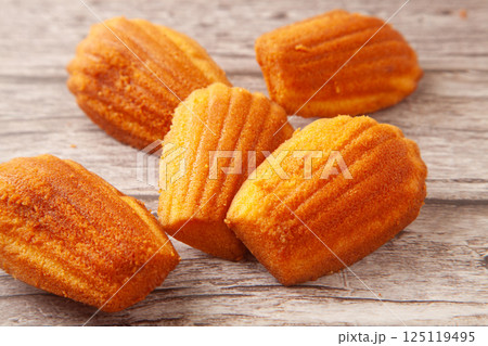 マドレーヌ 125119495