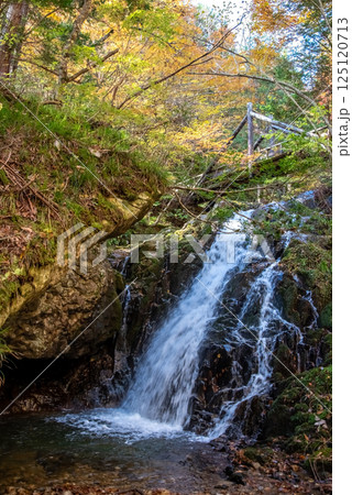 紅葉シーズンの「おおくら滝遊歩道・昇竜の滝」岐阜県・清見町 125120713