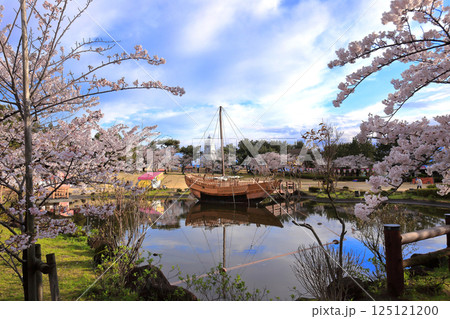 日和山公園 酒田日和山桜まつり 北前船 日和山公園 酒田日和山桜まつり 北前船 125121200