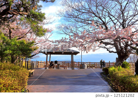 日和山公園　酒田日和山桜まつり　東屋 125121202