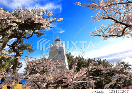日和山公園　酒田日和山桜まつり　六角灯台 125121207