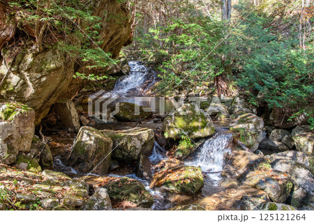 紅葉シーズンの「おおくら滝遊歩道・羽衣の滝」岐阜県・清見町 125121264