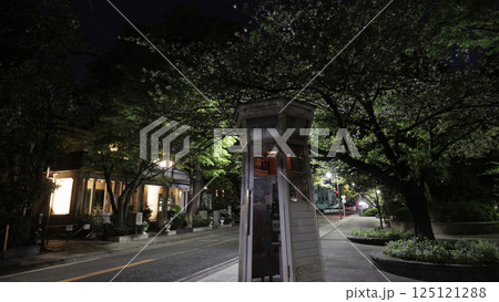 横浜山手西洋館の山手234番館 125121288