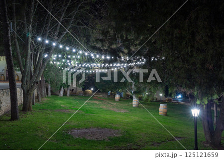 Winery garden at night, Moldova. Winery garden at night, Moldova. 125121659