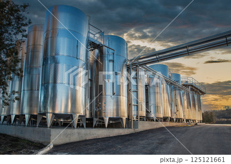 Modern wine production plant 125121661
