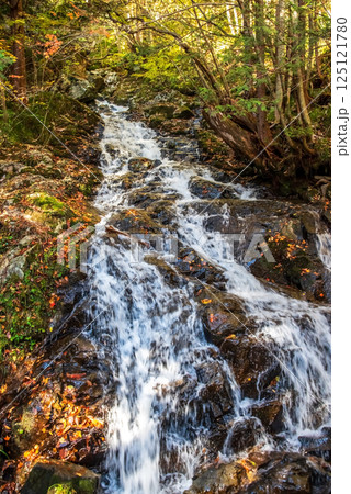 紅葉シーズンの「おおくら滝遊歩道」川字橋から眺める滝　岐阜県・清見町 125121780