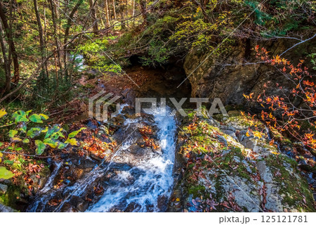 紅葉シーズンの「おおくら滝遊歩道」川字橋から眺める滝　岐阜県・清見町 125121781