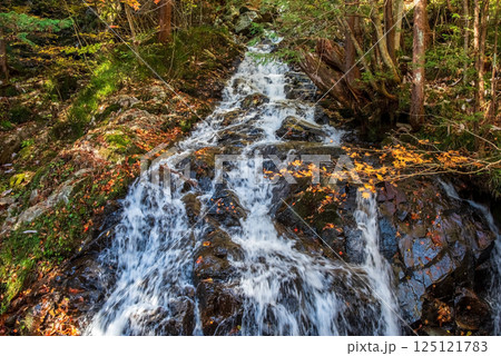 紅葉シーズンの「おおくら滝遊歩道」川字橋から眺める滝　岐阜県・清見町 125121783