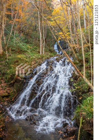 紅葉シーズンの「おおくら滝遊歩道」滝口橋から見える滝 岐阜県・清見町 紅葉シーズンの「おおくら滝遊歩道」滝口橋から見える滝 岐阜県・清見町 125121853