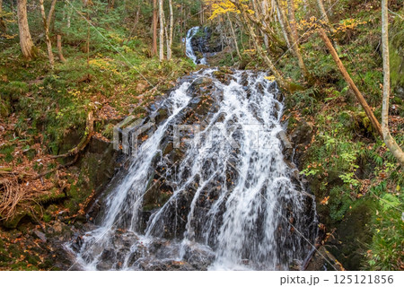 紅葉シーズンの「おおくら滝遊歩道」滝口橋から見える滝　岐阜県・清見町 125121856